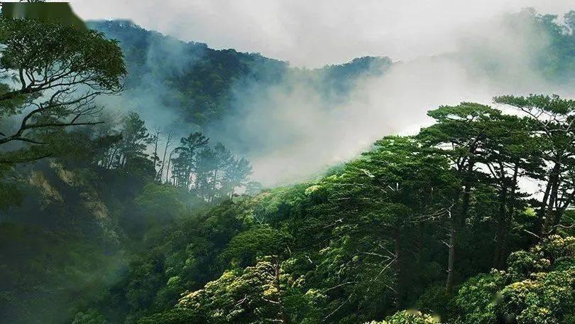 迷失在黑洞里