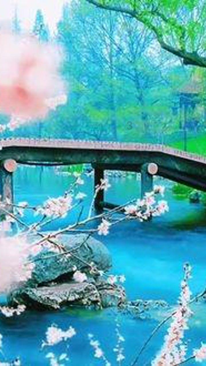 为什么古代皇帝的龙袍颜色都是不一样的，不是应该都是黄色的吗？